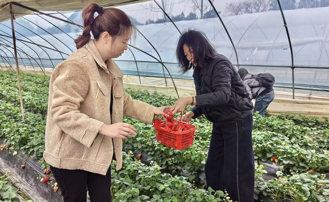 三八妇女节4